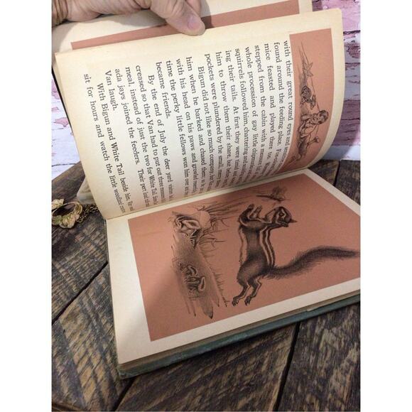 1938 First Edition “White Tail King Of The Forest” By Nell Stolp Smock - Picture 9 of 15